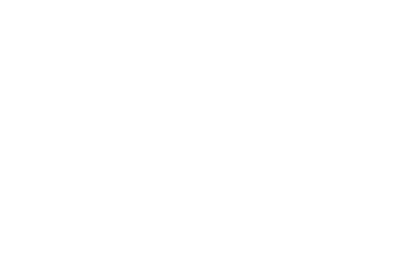 MEMS 300kVA Generator