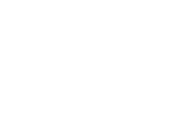 MEMS 300kVA Generator