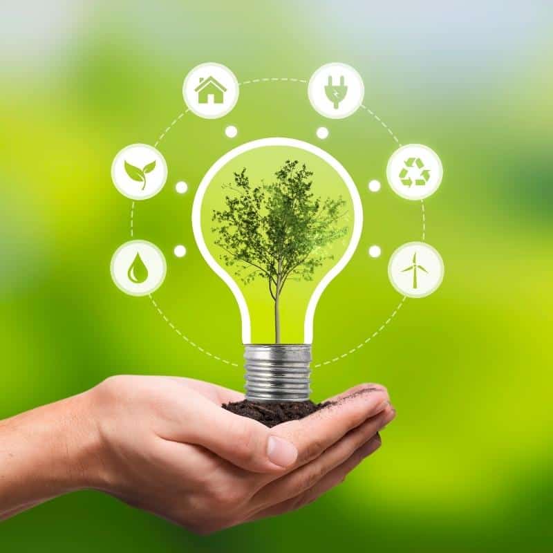 Sustainable practices at MEMS, focusing on reducing carbon footprints with innovative solutions.